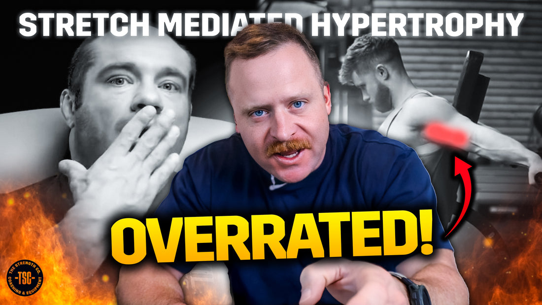 stretch mediated hypertrophy
