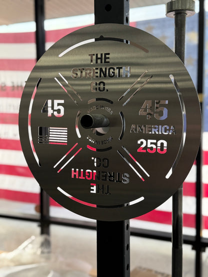 Stainless Steel America 250 Plate Replica