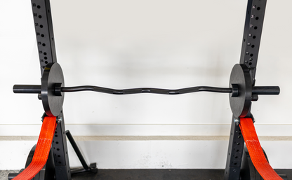 curl bar in squat rack